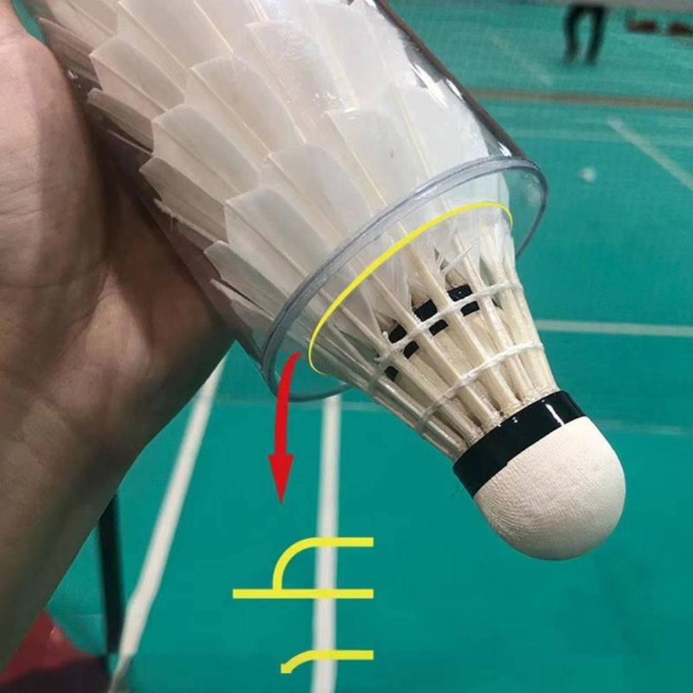أنبوب مغناطيسي لتنس الريشة، أن - مراجعة Badminton Shuttlecock وسعره